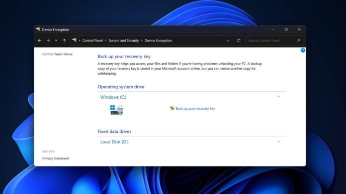 Windows-11-BitLocker-probleem