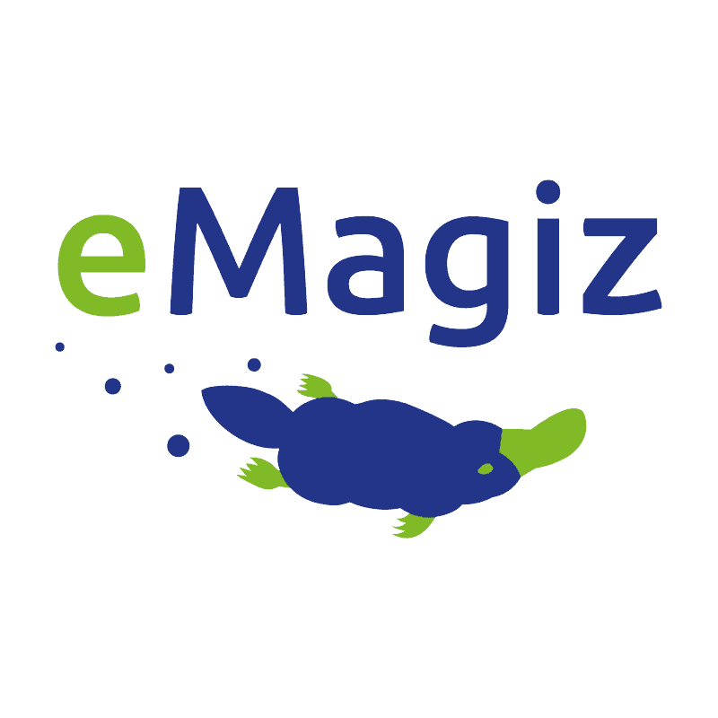 eMagiz