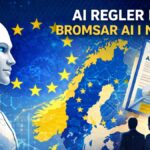 KI-Regeln in der EU – Unsicherheit bezüglich der KI-Regeln in der EU bremst die Entwicklung in den nordischen Ländern | IT-Branschen